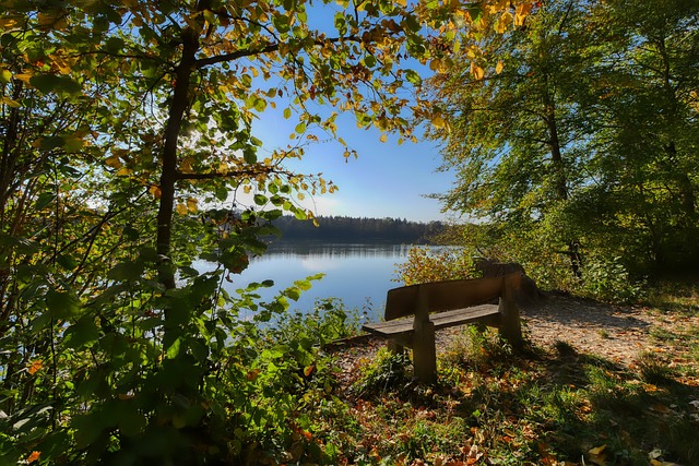 布莱恩特之 布莱恩特之