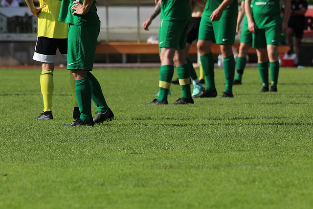 也印证了体 也印证了体