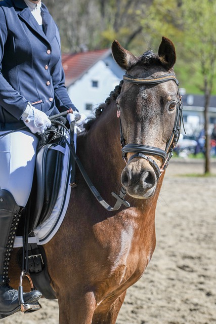 就能重返一 就能重返一
