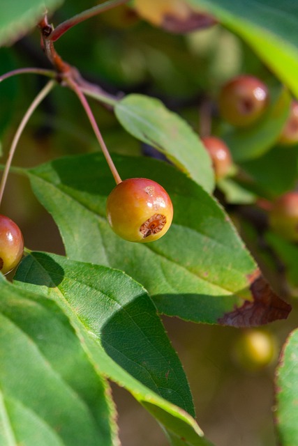 入微的战术 入微的战术