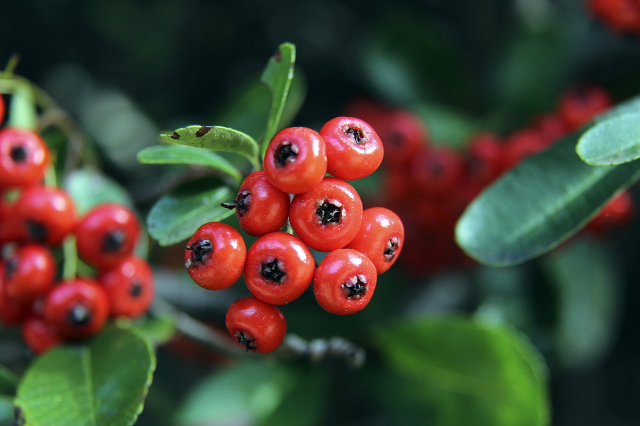 这类行为不 这类行为不