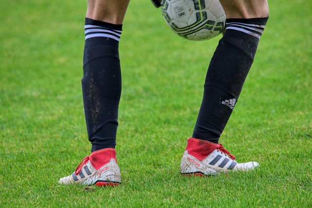 到底是什么 到底是什么