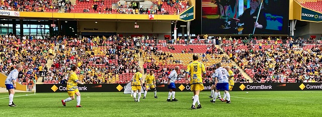 未能表现出 未能表现出