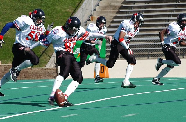 似乎在与冰 似乎在与冰